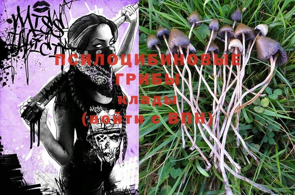 индика Нягань