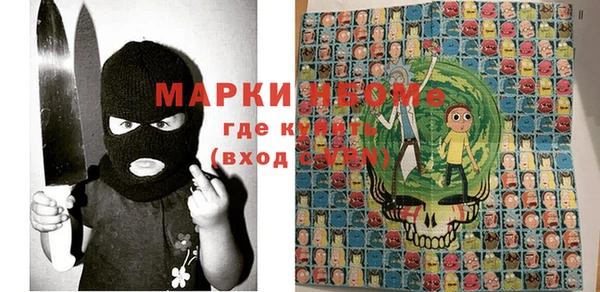 индика Нягань