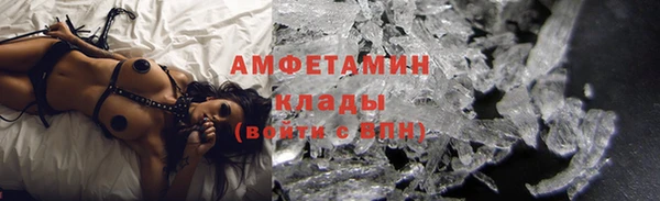 дживик Няндома