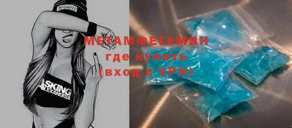 индика Нягань