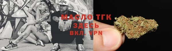 индика Нягань