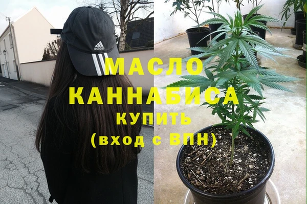 индика Нягань