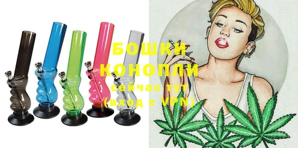 дживик Няндома