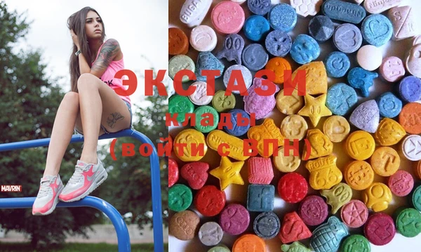 индика Нягань