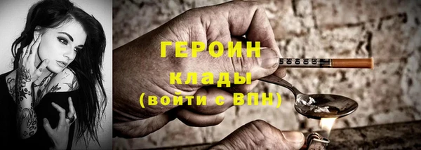 дживик Няндома