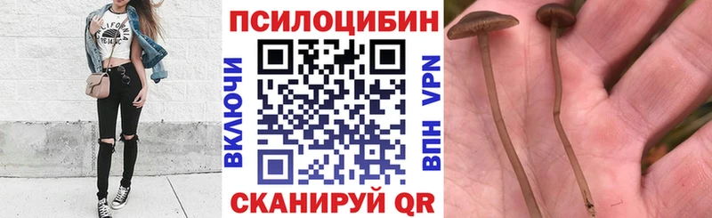 Галлюциногенные грибы мицелий  Купить  Новое Девяткино 